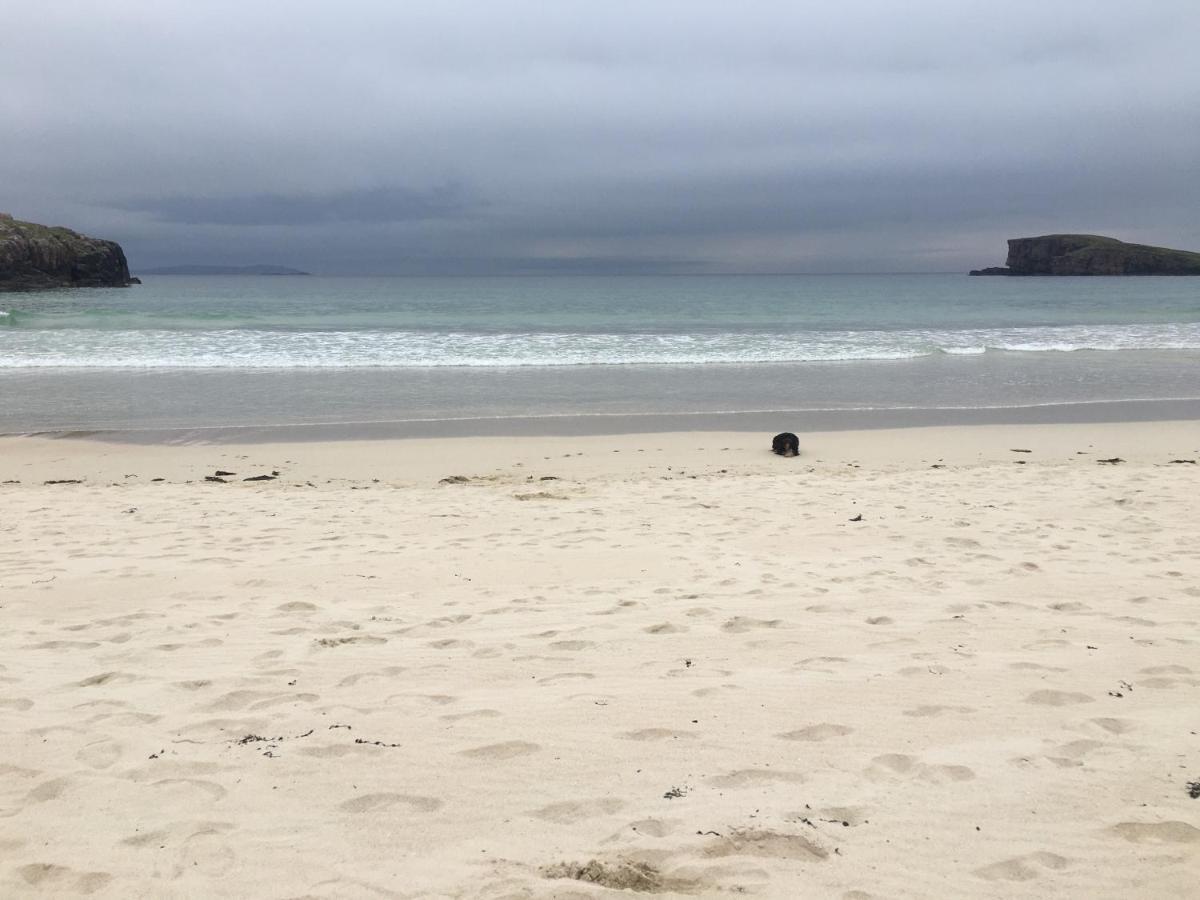 Eco Crofters Wagon By The Beach Oldshoremore 외부 사진